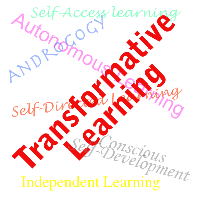 transformative learning logo-2 – AmericanDelusions